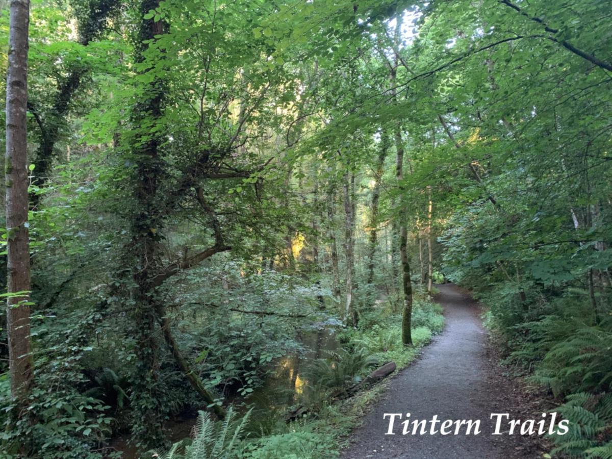 Garden Cottage On Tintern Trails Fethard on Sea Exterior photo